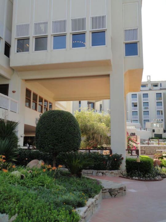 Sentido PALOMA Perissia