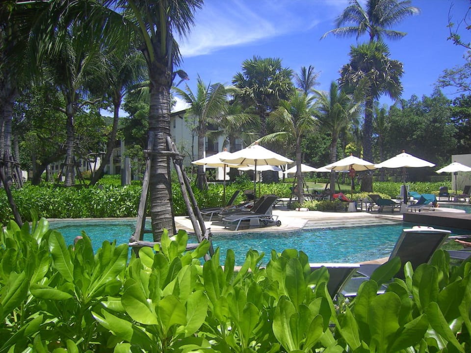 Hotel Ibis in Bo Phut - Kho >Samui Hotel Ibis Patong Phuket