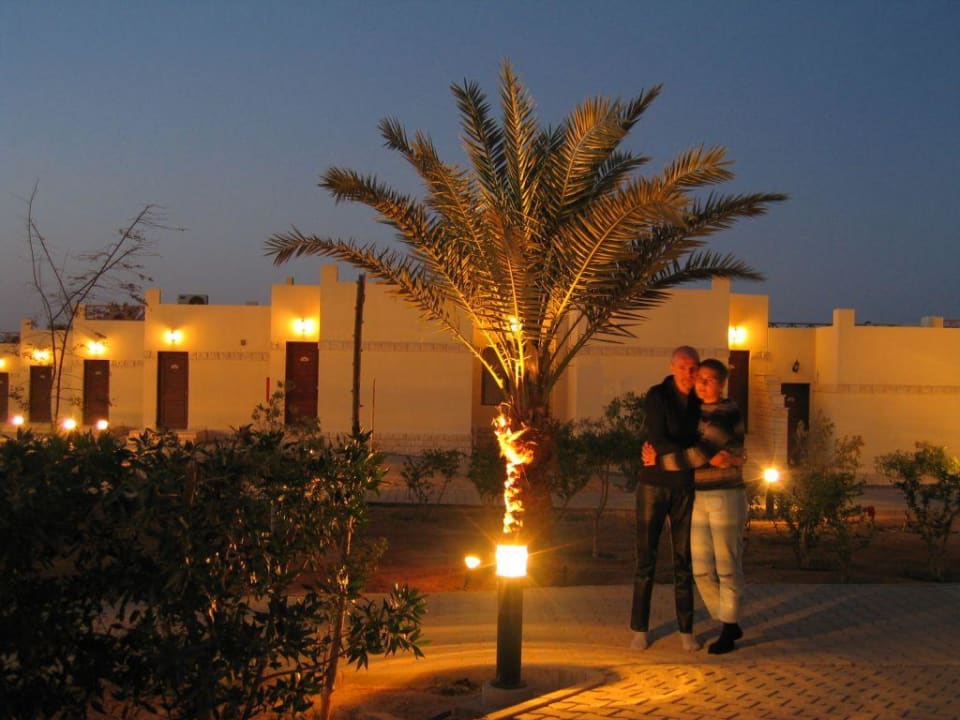 Bungalows/Garten am Abend Coral Beach Hurghada