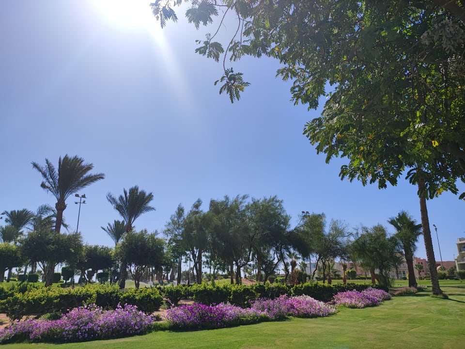 Strand Steigenberger Aqua Magic