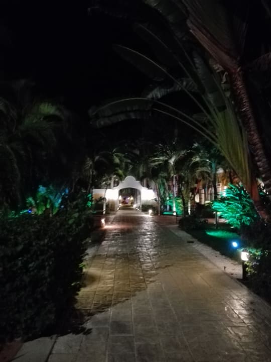Weg zu den Zimmern Dreams Tulum Resort & Spa