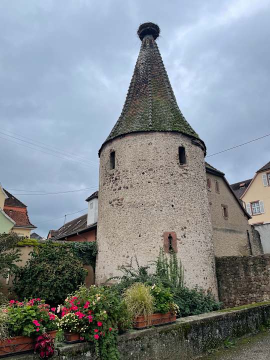 Ausblick L' Hôtel & Spa Ribeauville- Haut-Koenigsbourg