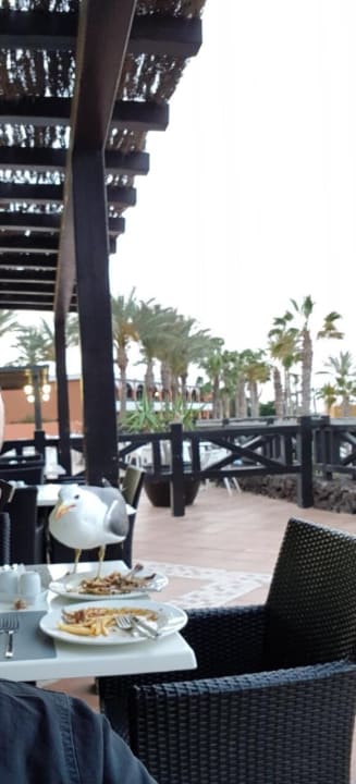 Gastro Occidental Jandía Playa