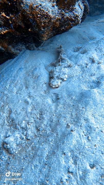 Sonstiges Bliss Nada Beach Resort