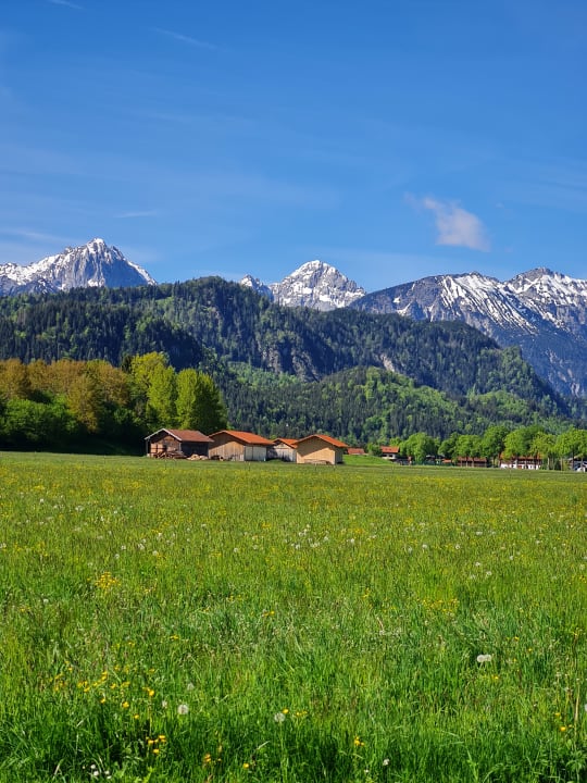 Ausblick Hotel König Ludwig