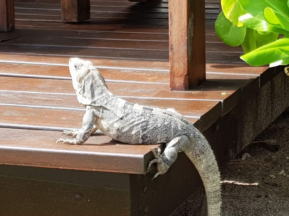 Sonstiges Akumal Bay Beach & Wellness Resort