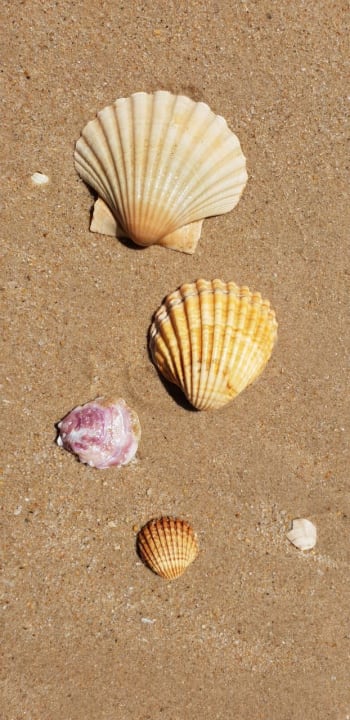 Strand Golden Club Cabanas