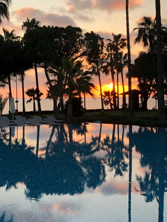 Pool Acanthus Cennet Barut Collection