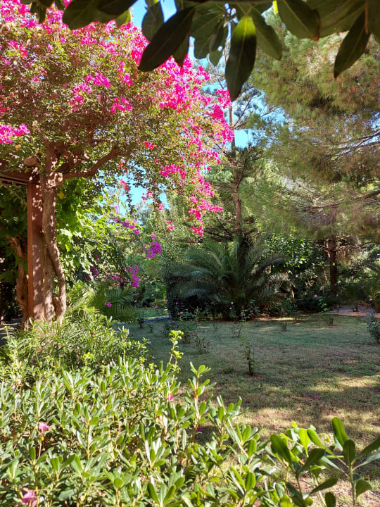 Gartenanlage Apollonia Beach Resort & Spa