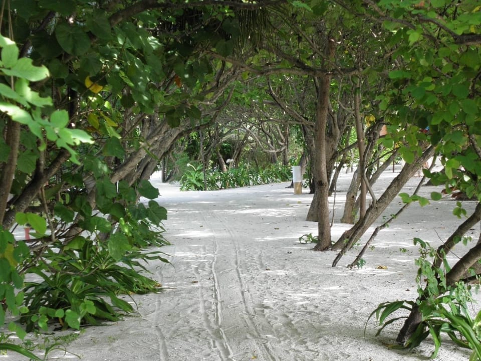 Sandweg Summer Island Maldives
