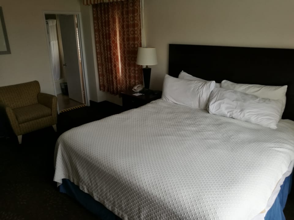 Zimmer Lexington Hotel Miami Beach