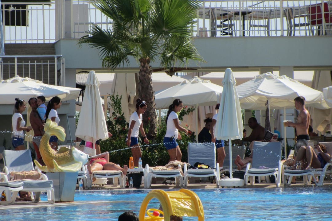Das Roller Blade Team Hotel Delphin Imperial