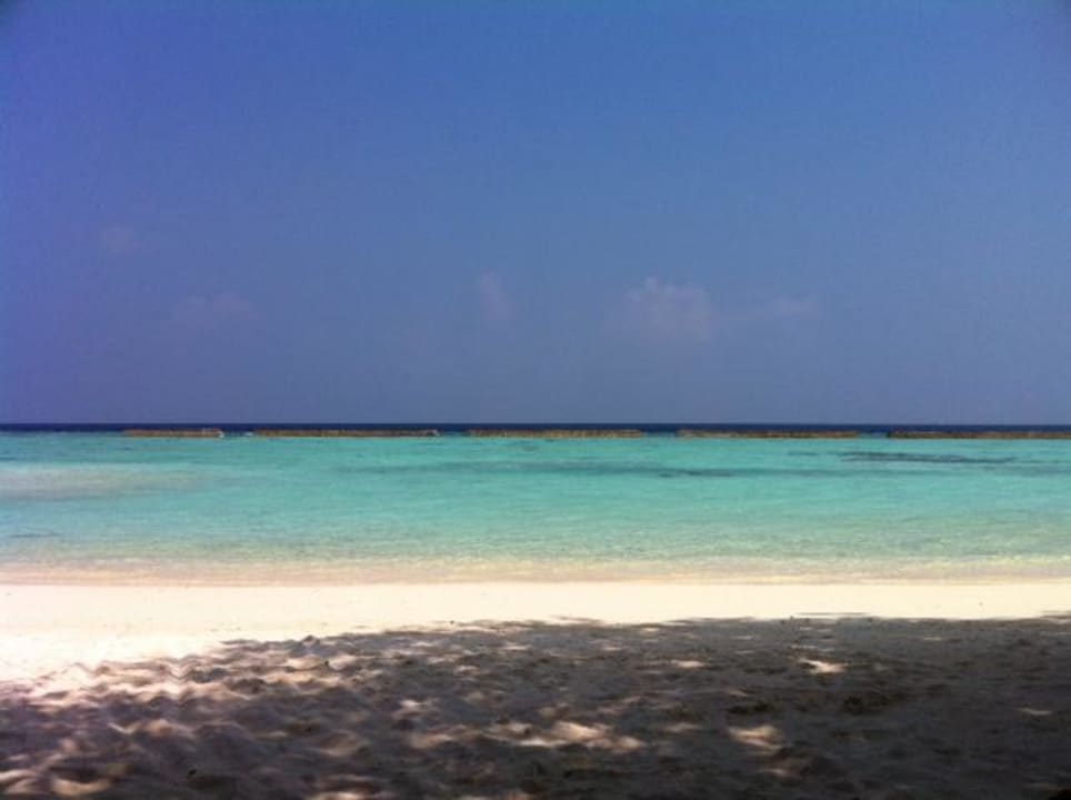 Frontview von Beachbungi 120 Veligandu Maldives Resort Island