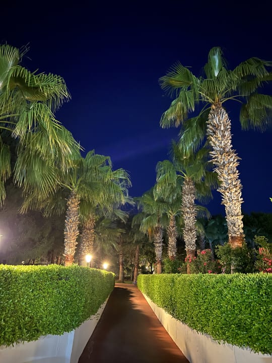 Gartenanlage Side Breeze Hotel