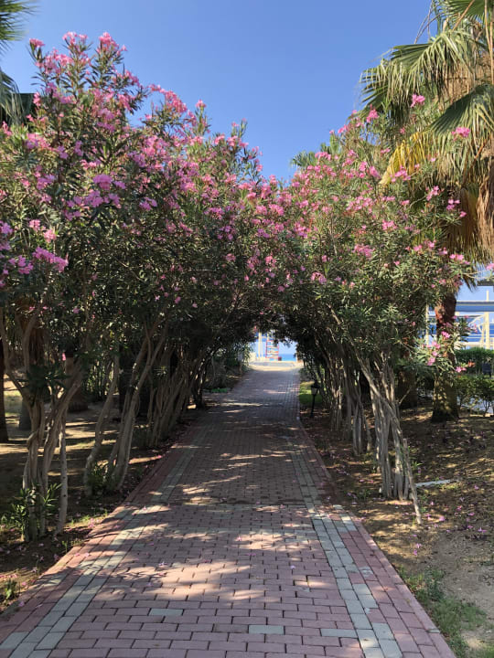 Gartenanlage Seaden Sea World Resort & Spa