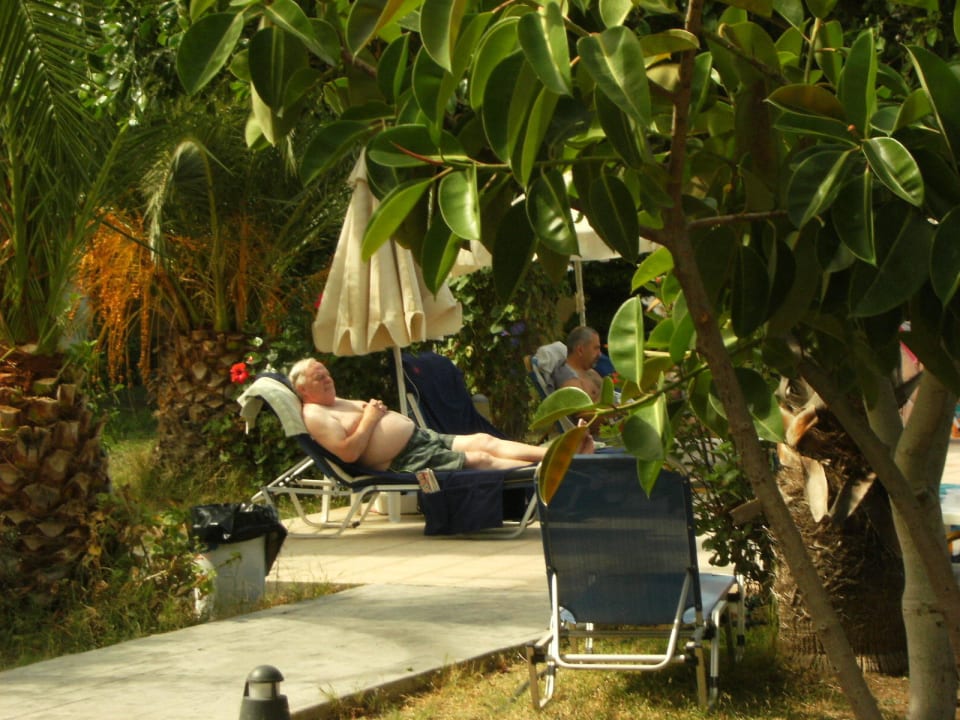 Liegestuhl am Pool in üppiger Vegetation Hotel Tigaki Beach