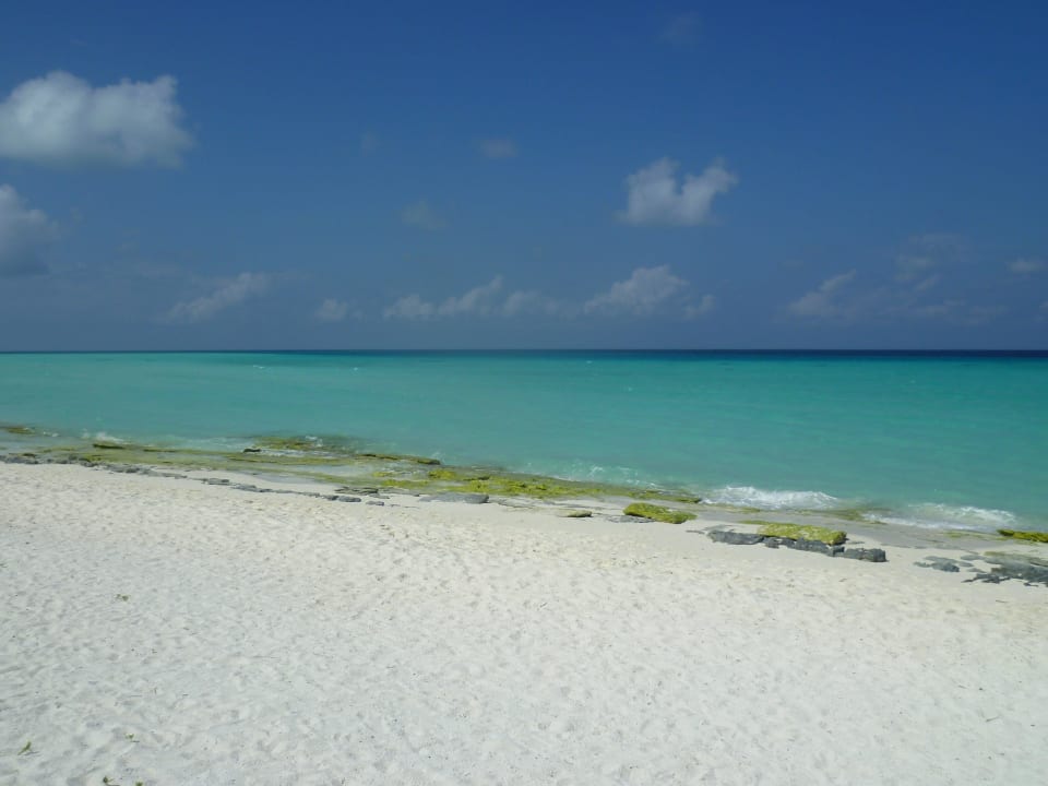Bei der Sandbank Kuramathi Maldives