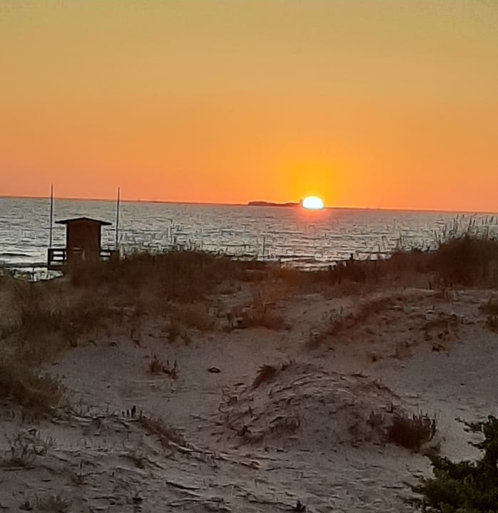 Sonstiges Valentin Sancti Petri