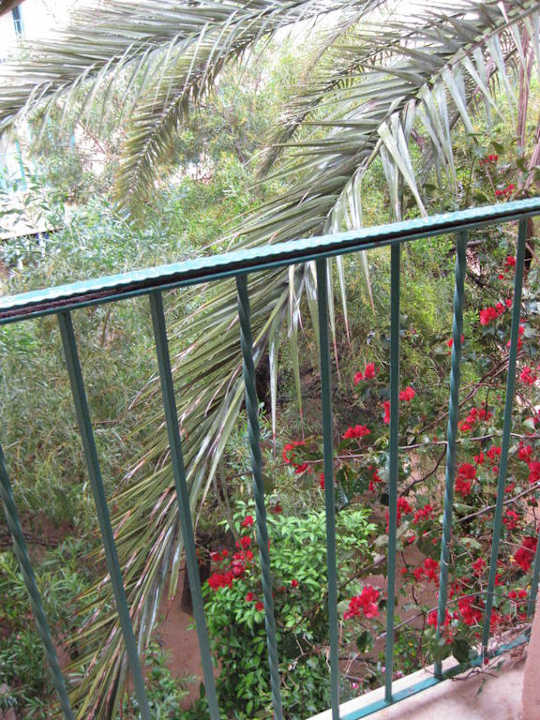 Ausblick Zimmer El Ksar Resort & Thalasso