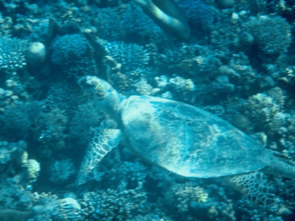 Sport & Freizeit Makadi Spa - Adults only