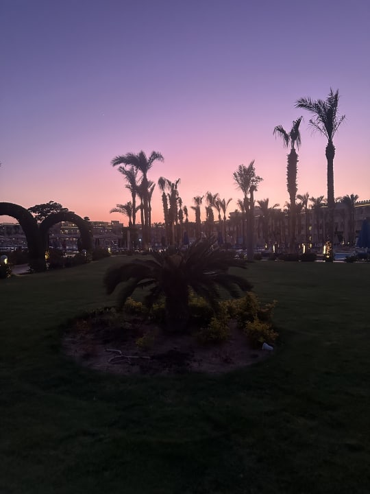 Gartenanlage Pickalbatros Palace Resort