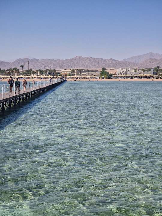 Strand Pickalbatros Royal Moderna Resort-Sharm El Sheikh