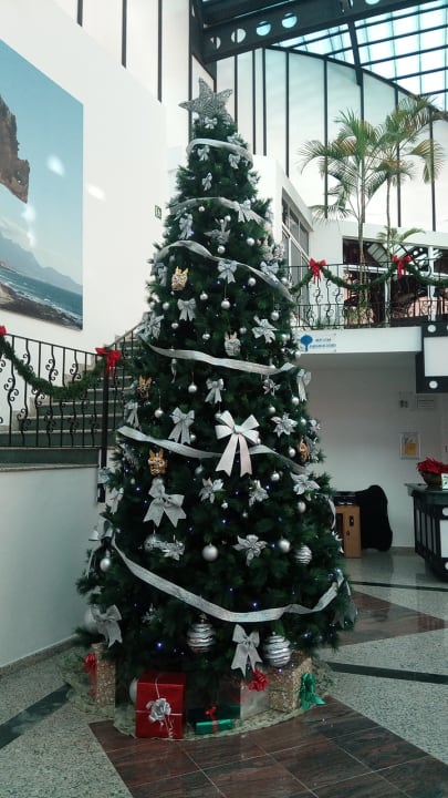 Zu Weihnachten Club Hotel Drago Park