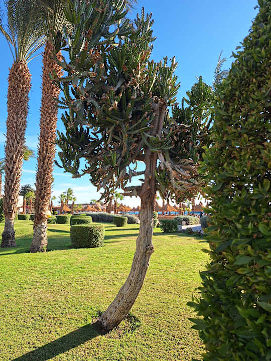 Ausblick Lotus Bay Beach Resort