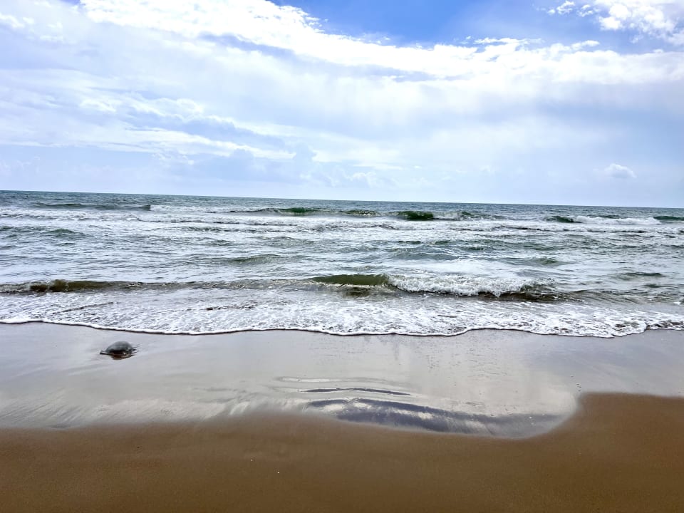 Strand TUI BLUE Xanthe