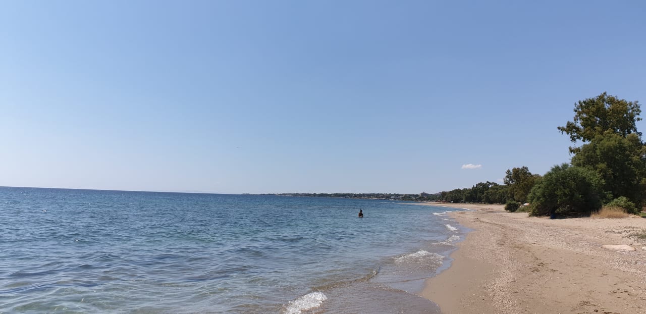 Strand Hotel & Bungalows Golden Coast