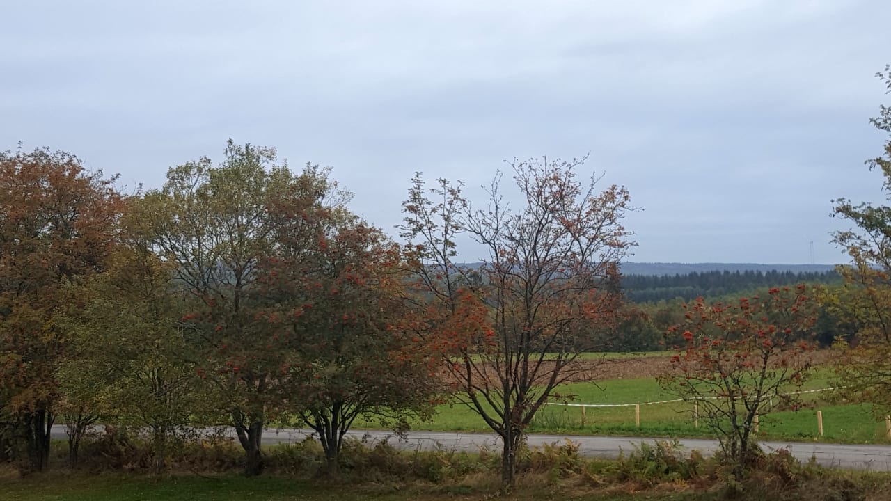 Ausblick Seehotel Losheim