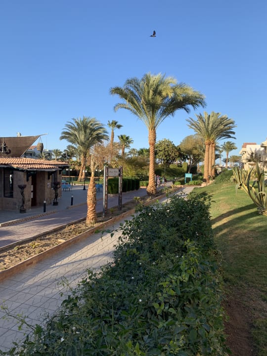 Garten Golden Beach Resort