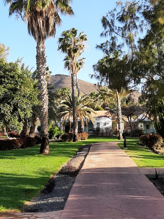 Gartenanlage Aldiana Club Fuerteventura