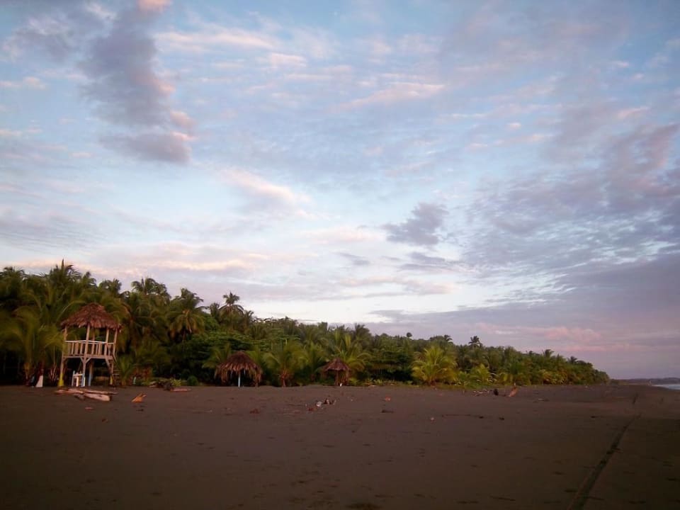 Direkte Strandlage Hotel Playa Westfalia