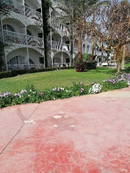 Gartenanlage Desert Rose