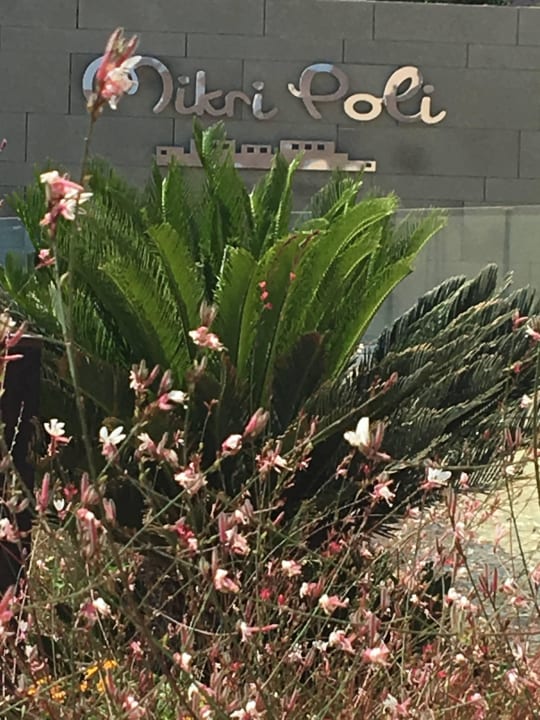 Vor dem Hotel Atlantica Mikri Poli Kos