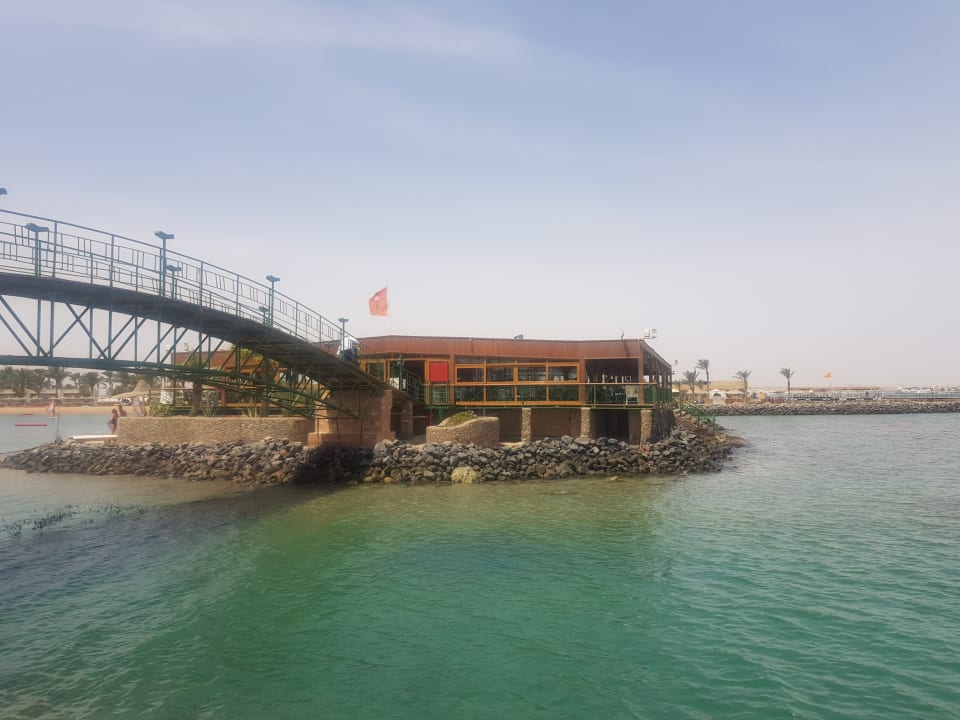 Ausblick Desert Rose