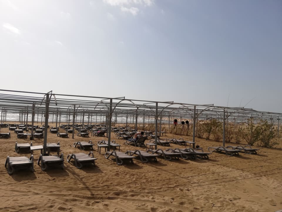 Strand Aydinbey Kings Palace & Spa