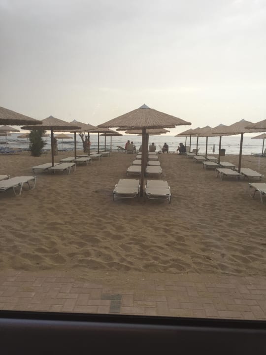 Der Strand allsun Hotel Carolina Mare