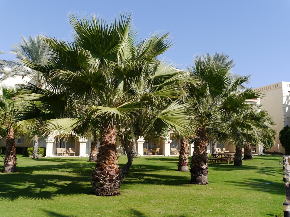 Außenansicht Rixos Sharm El Sheikh Adults Only 18 +