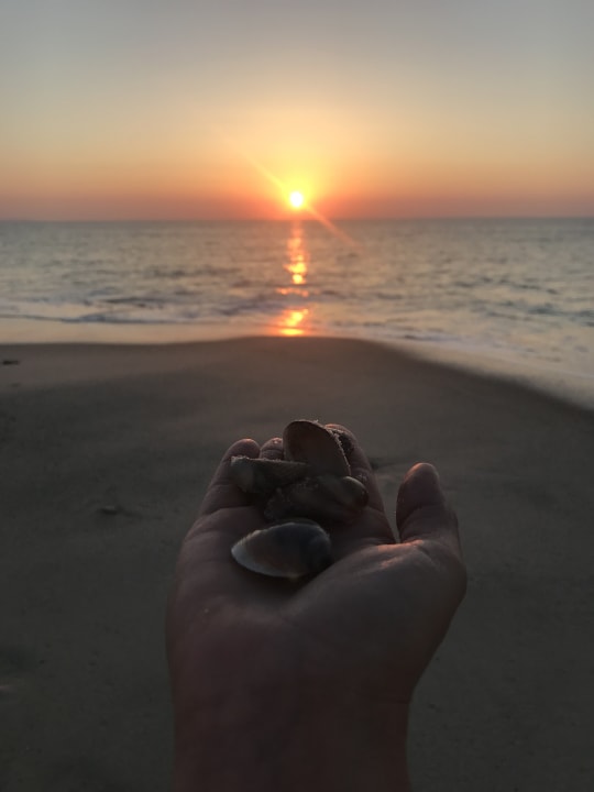 Strand Iberostar Waves Averroes
