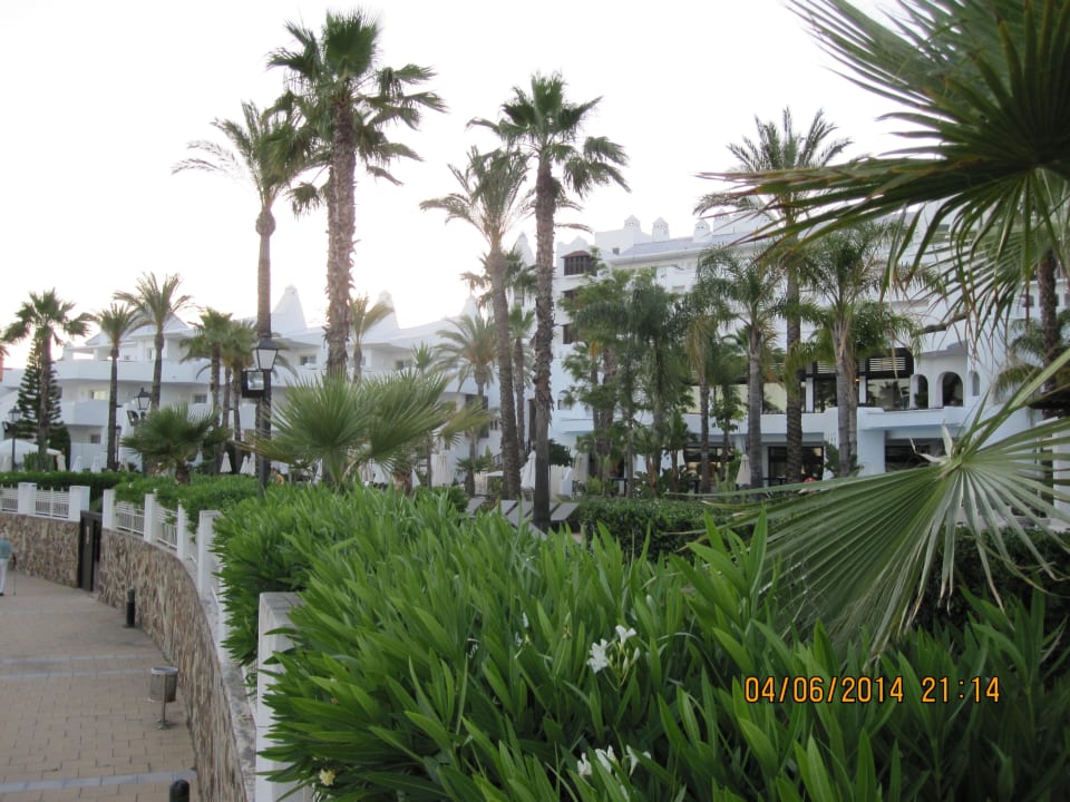 Garden H10 Estepona Palace