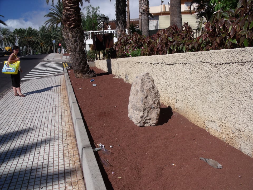 Beet vor dem Hotel Ole Tropical Tenerife