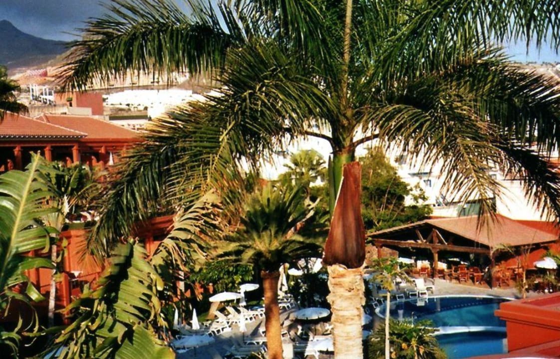 Pool mit der Poolbar im Hintergrund Adrián Hoteles Colón Guanahaní - Adults only