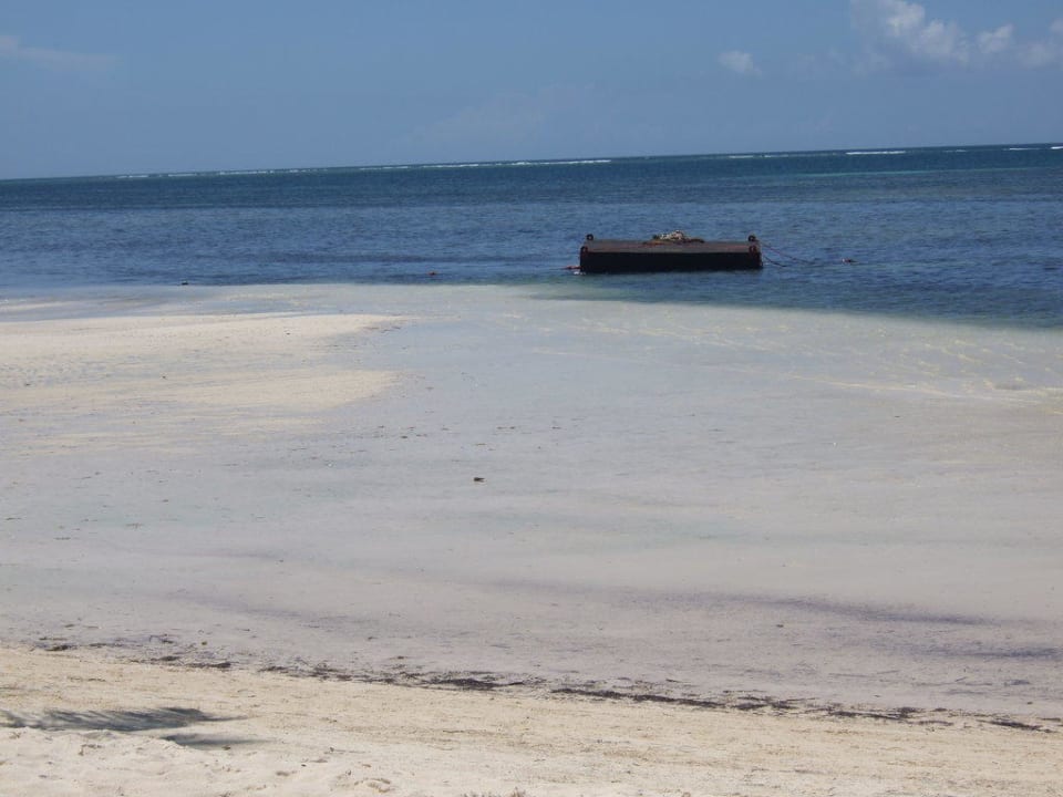 Traumstrand? Catalonia Punta Cana - All Inclusive