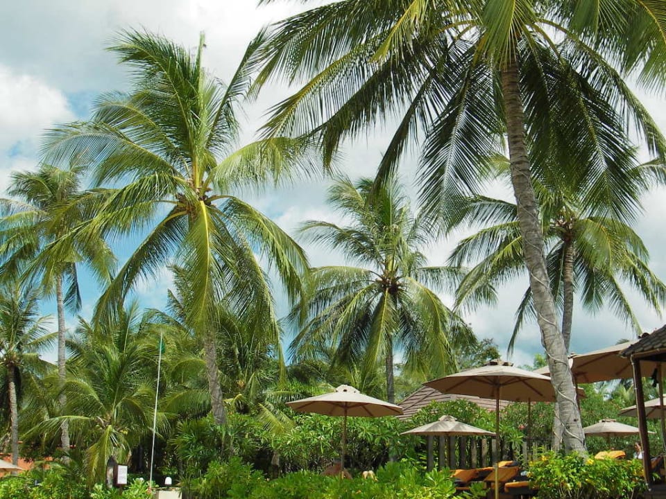 Blick vom Strand auf das Hotel Bo Phut Resort & Spa