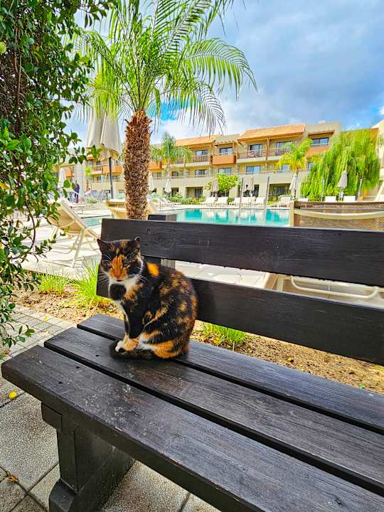 Gartenanlage Astir Odysseus Kos Resort & Spa