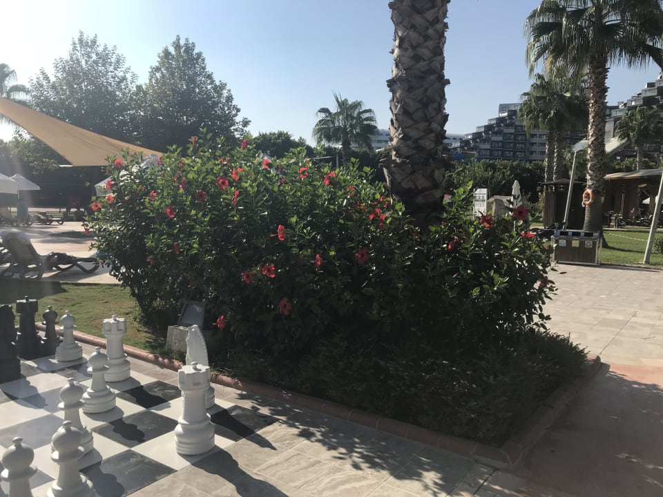 Gartenanlage Sherwood Exclusive Lara