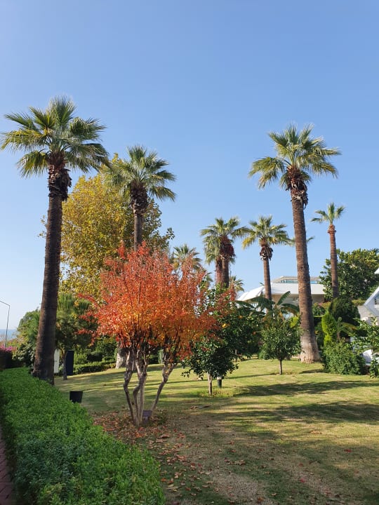 Gartenanlage Side Star Elegance