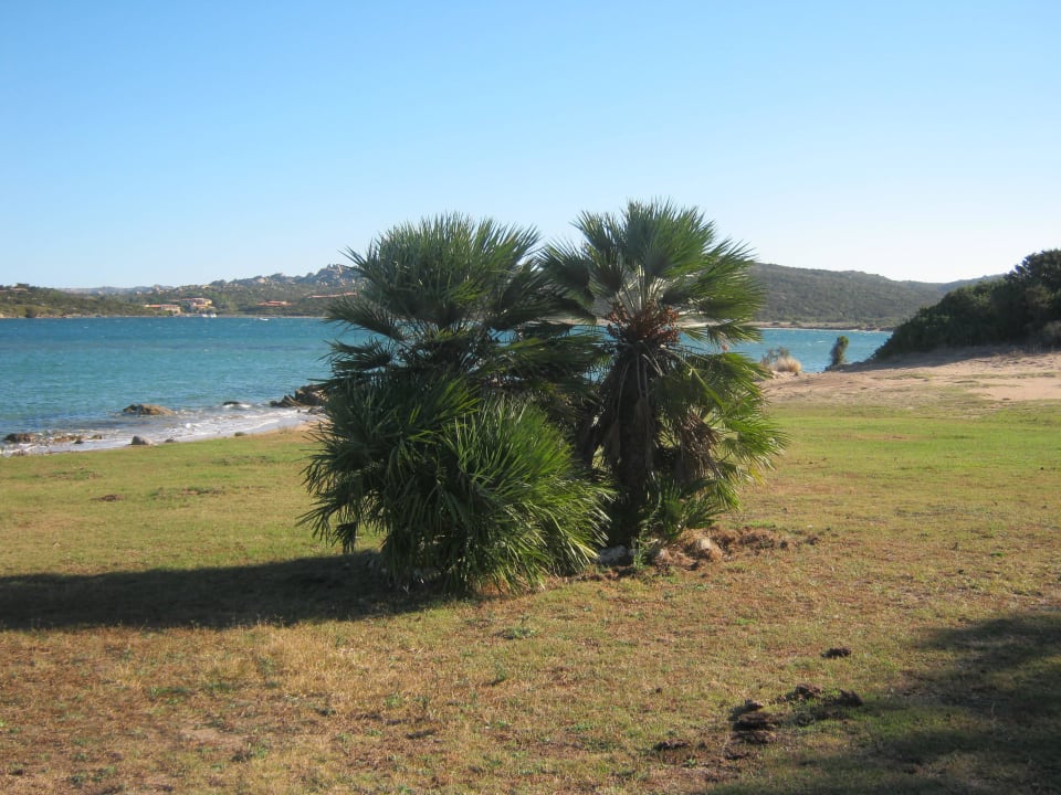 Privatstrand Residence Blue Corner Porto Pollo